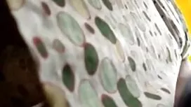 زوجتي سكسي كارتون مت ...