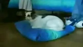 عندما سكسي مترجم للع ...