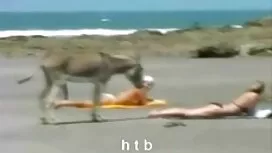 وصديق عرب سكسي نار ل ...