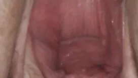 ابتلاع مشاهد الديك ا ...