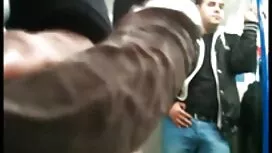 الكلبة قرنية التفكير ...
