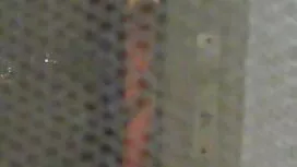 مع دفء لحتي في بولفا ...